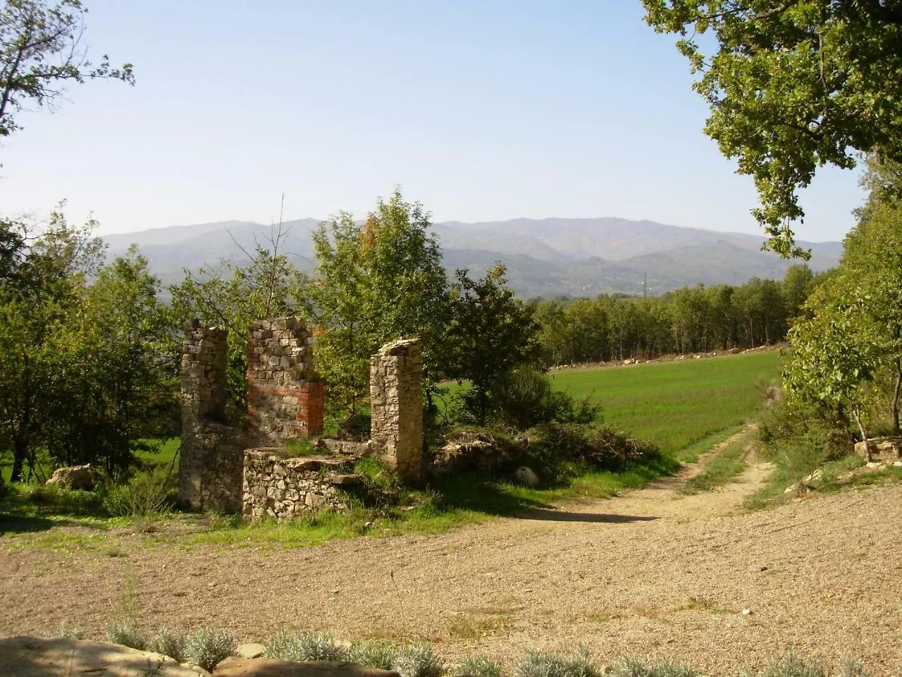 Agriturismo Santa Rosa Villa Subbiano Alloggio per agriturismo